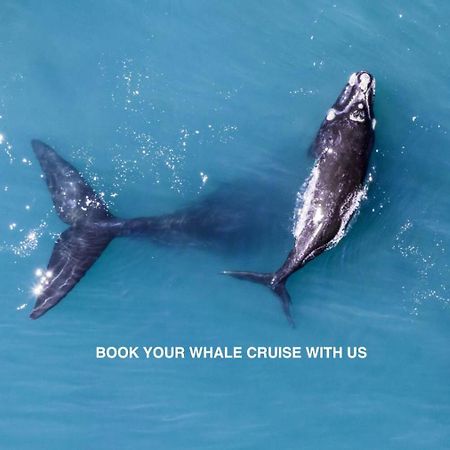Anchor'S Rest Hotel Hermanus Buitenkant foto