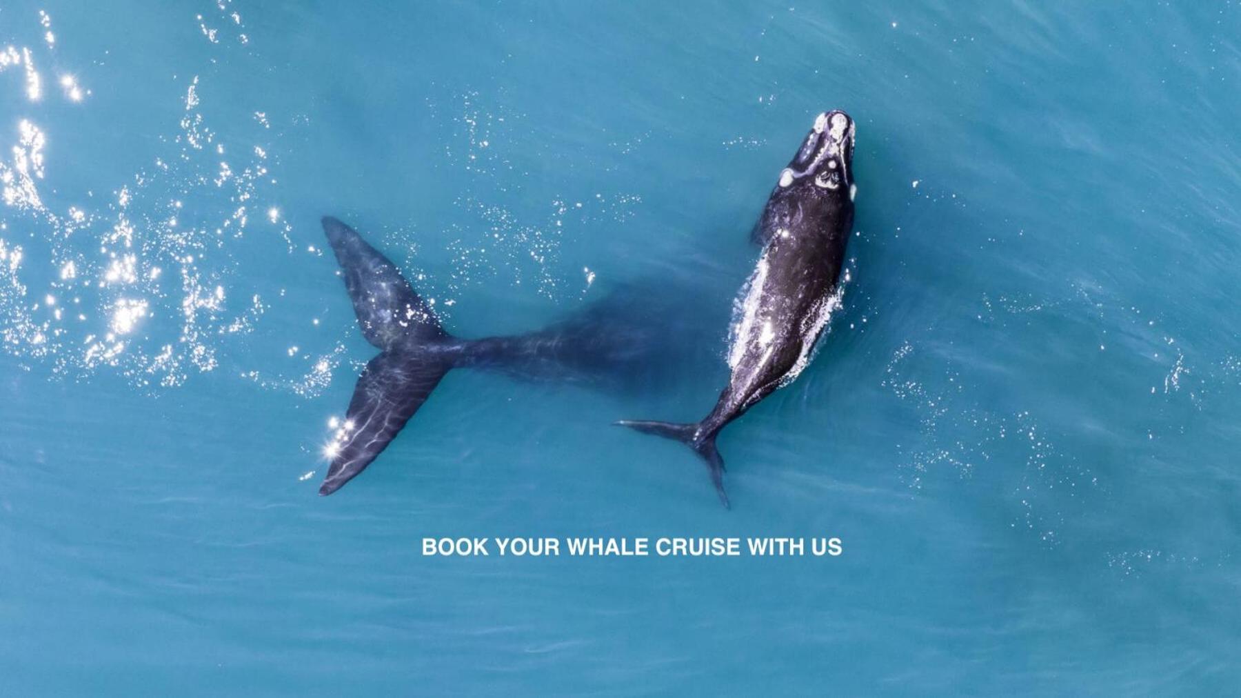 Anchor'S Rest Hotel Hermanus Buitenkant foto